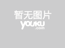 《等待绽放》优酷独家官网